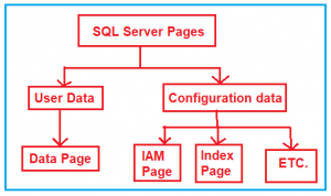How SQL Server Store and Manages Data Internally - Dot Net Tutorials