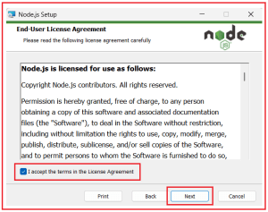 Angular Environment Setup in Detail - Dot Net Tutorials