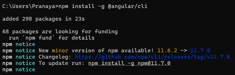 Angular Environment Setup in Detail - Dot Net Tutorials
