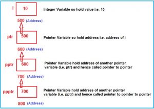Pointer to Pointer in C Language with Examples - Dot Net Tutorials
