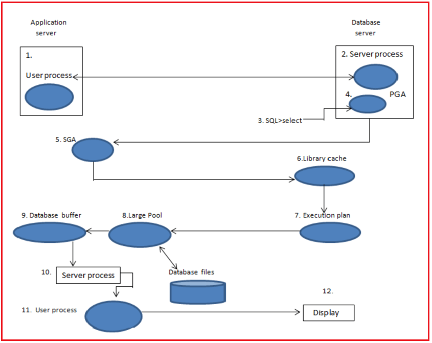 oracle database tutorial