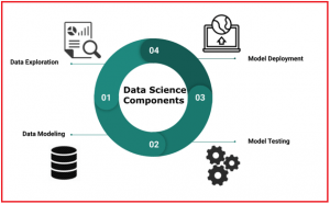An Introduction to Data Science - Dot Net Tutorials
