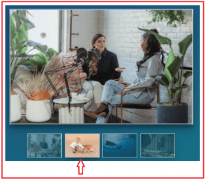 jQuery Image Gallery with Examples - Dot Net Tutorials