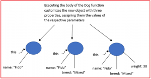 Object Constructors in JavaScript - Dot Net Tutorials