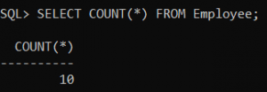 COUNT Function in Oracle with Examples - Dot Net Tutorials