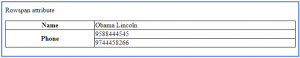 Table Colspan and Rowspan in HTML - Dot Net Tutorials
