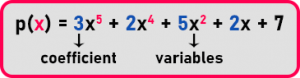 Polynomial in C Language - Dot Net Tutorials