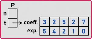 Polynomial in C Language - Dot Net Tutorials