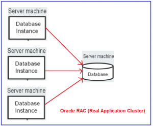 Oracle Database Vs Database Instance - Dot Net Tutorials