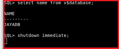 Shutting down the Database