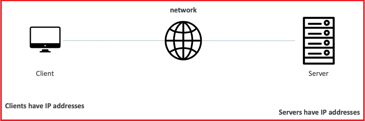 How Does the Website Work?