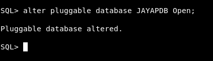 Data Dictionary Differences inside a Pluggable Database in Oracle