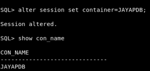 Data Dictionary Differences inside a Pluggable Database in Oracle