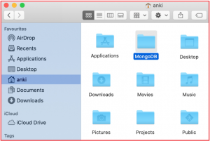 How to Install MongoDB on macOS - Dot Net Tutorials