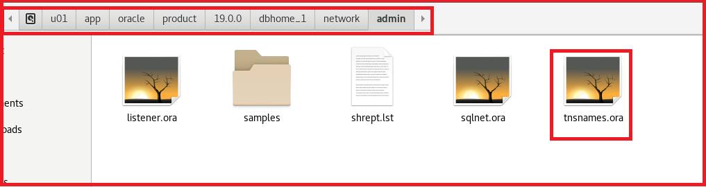 Connection to Pluggable Databases in Oracle with Examples