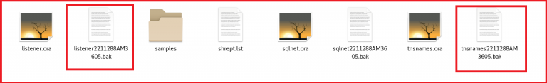 Oracle Net Configuration Assistant - Dot Net Tutorials