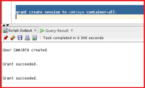 Common Users and Common Privileges in Oracle