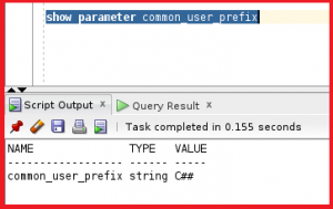 Common Users and Common Privileges in Oracle