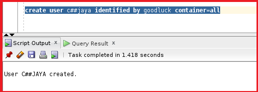 Create a user in the container database in Oracle