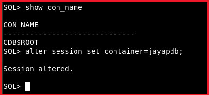 Admin Option in Oracle with Examples