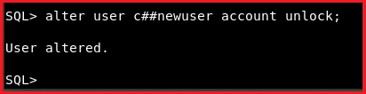 Creation of a Common Profile in Oracle with Examples