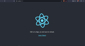 Creating a new React Project - Dot Net Tutorials