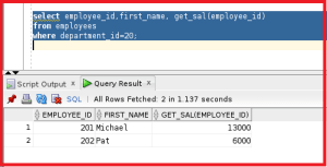 How to Create User Defined Function in Oracle - Dot Net Tutorials