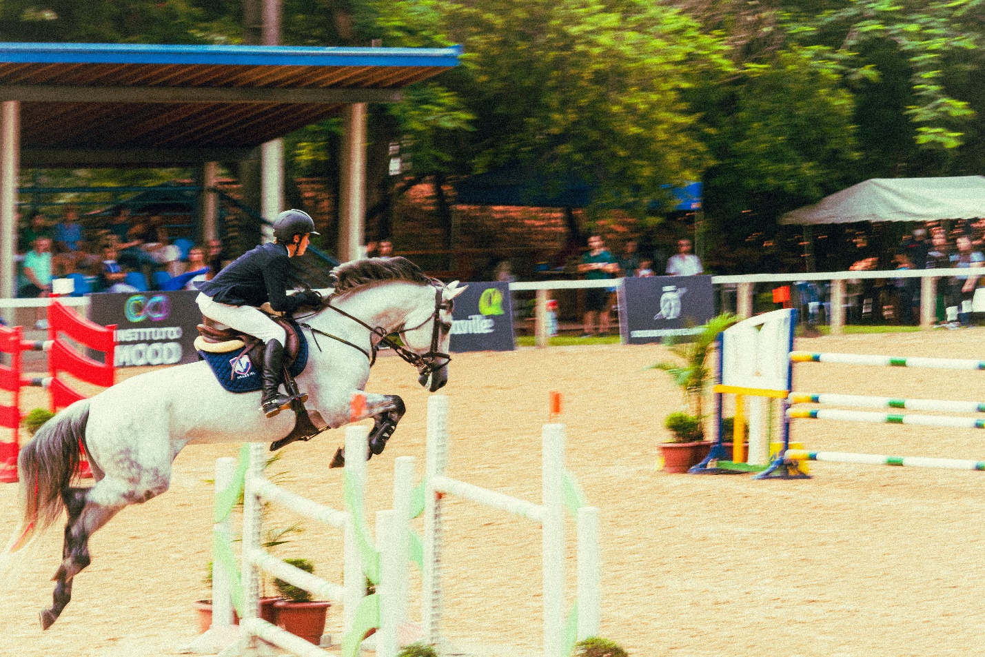 How Data Science Can Be Used on Horse Locomotion