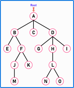 Introduction to Tree Data Structure - Dot Net Tutorials