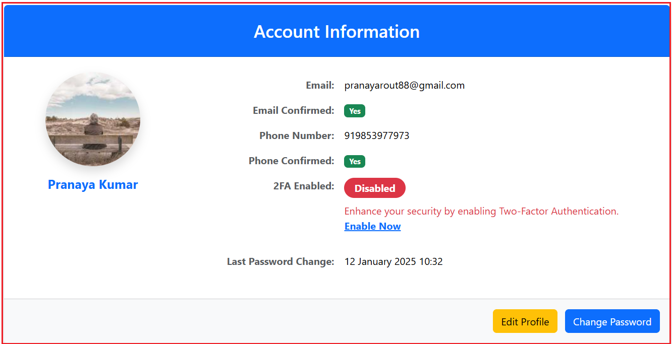 View and Edit Profile Details in ASP.NET Core Identity