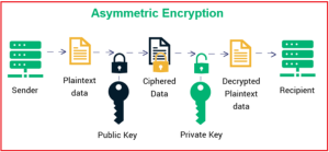 Asymmetric Encryption in ASP.NET Core Web API - Dot Net Tutorials