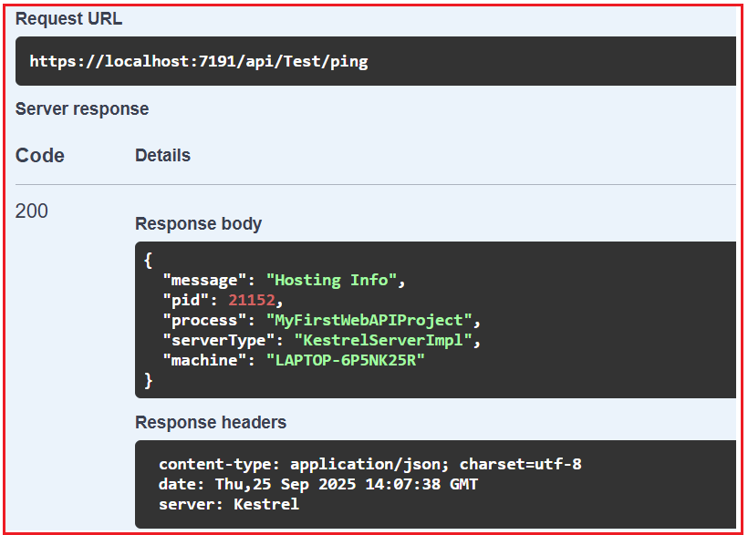ASP.NET Core Kestrel Web Server