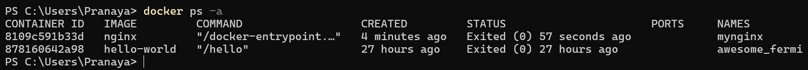Working with Basic Docker Commands and Container Lifecycle - Dot Net ...