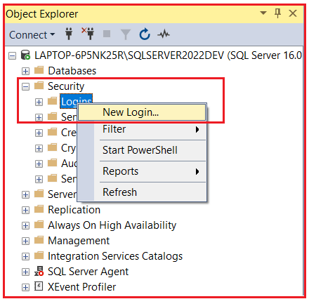 Create a SQL Login for Docker Access