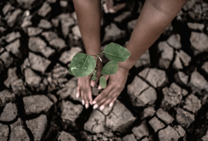 Surviving the Extremes: How Somali Communities Are Building Lasting Resilience Against Climate-Driven Droughts, Catastrophic Floods, and a Future That Demands Adaptation at Every Level